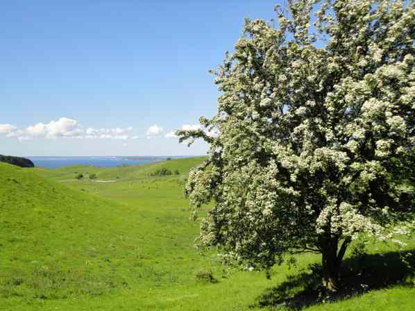 OVK besiktning – Ventilationsrengöring – Energideklaration – Skandek AB