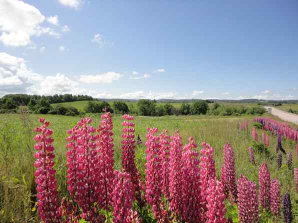 OVK besiktning – Ventilationsrengöring – Energideklaration – Skandek AB