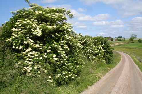 OVK besiktning – Ventilationsrengöring – Energideklaration – Skandek AB