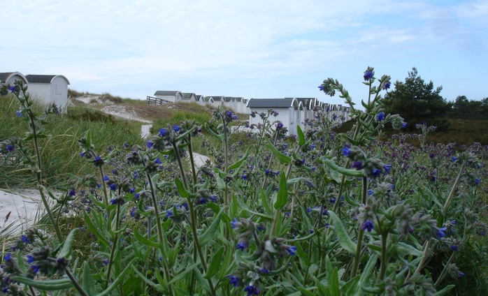 OVK besiktning – Ventilationsrengöring – Energideklaration – Skandek AB