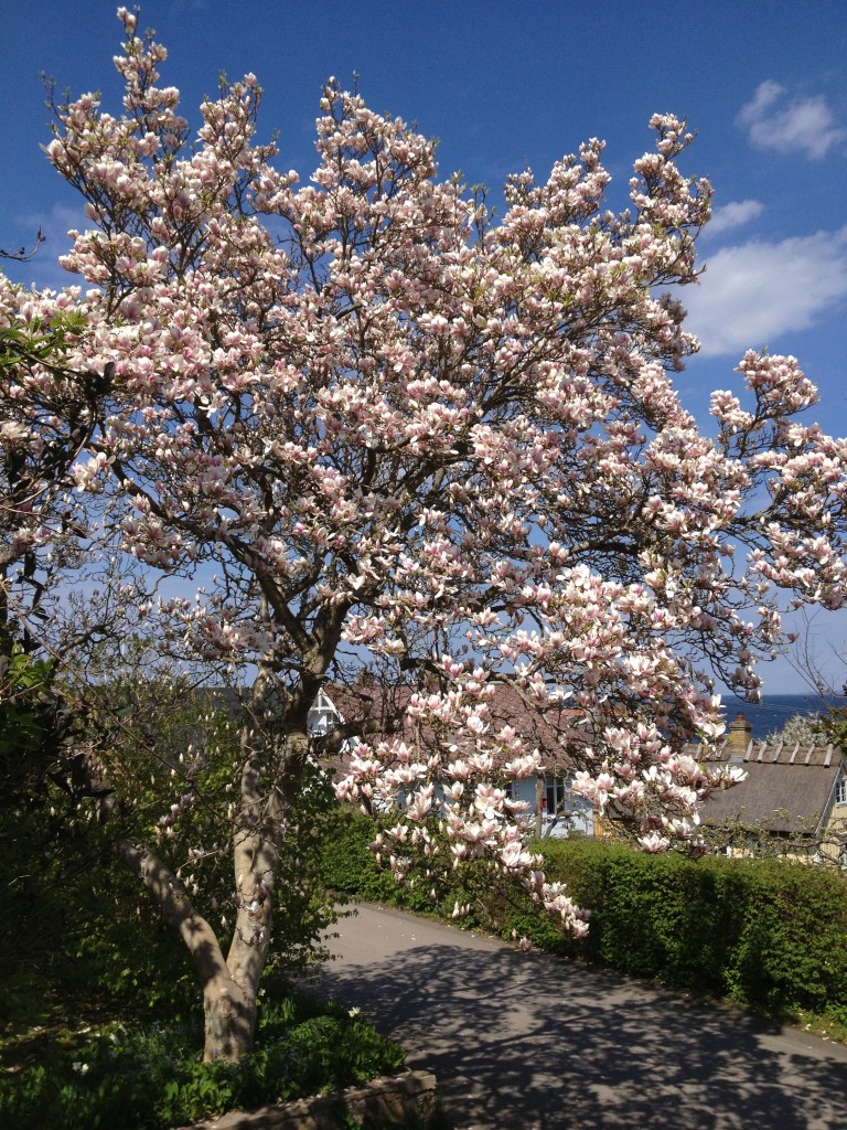 OVK besiktning – Ventilationsrengöring – Energideklaration – Skandek AB