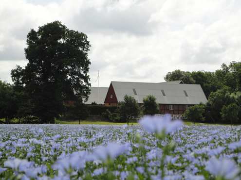 OVK besiktning – Ventilationsrengöring – Energideklaration – Skandek AB
