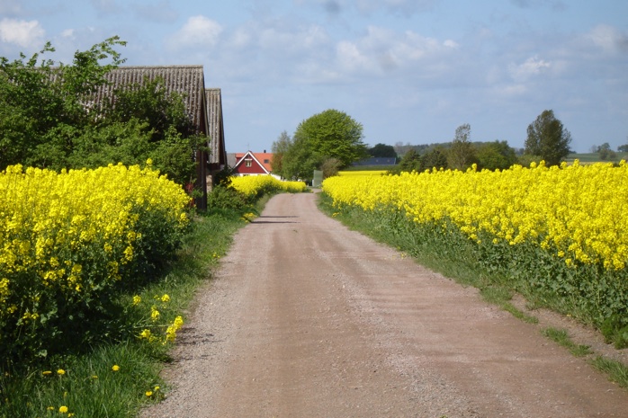 OVK besiktning – Ventilationsrengöring – Energideklaration – Skandek AB